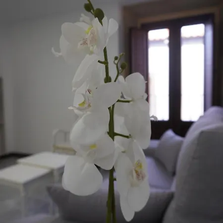 Sanin Apartment *
