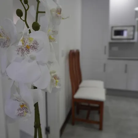 Sanin Apartment Lumbrales