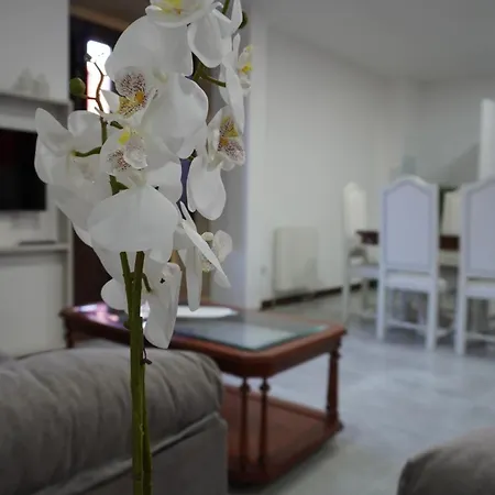 Sanin Apartment *